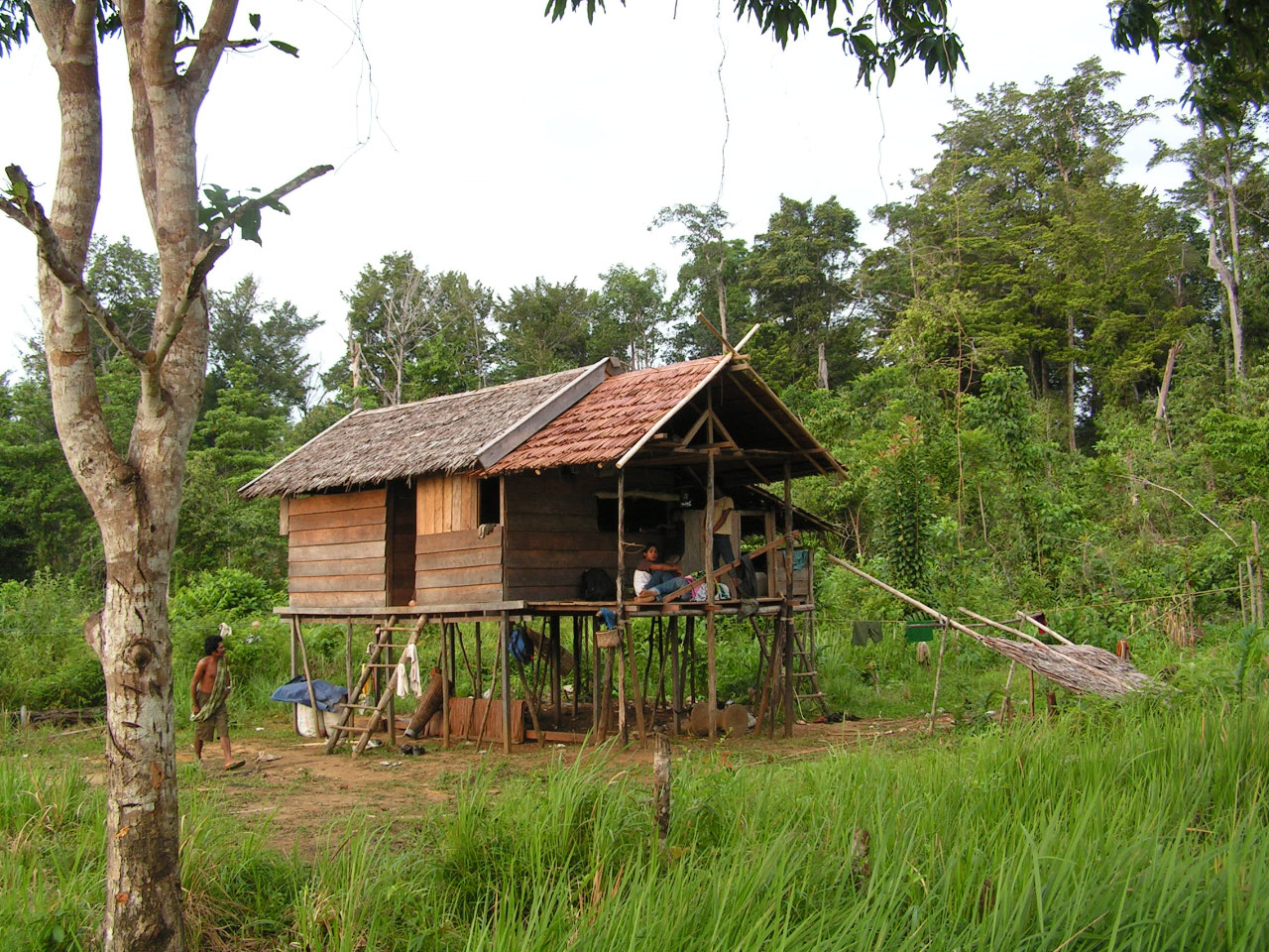 Sulawesi -maison wana-1.jpg